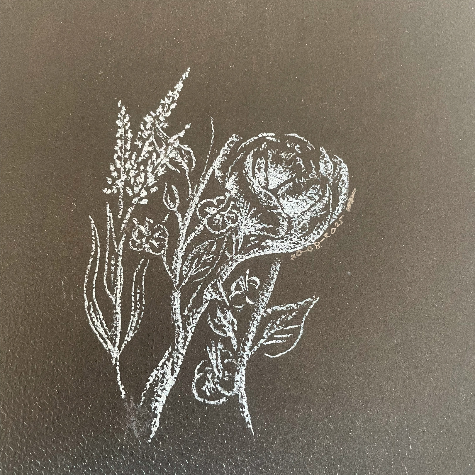 Live Lines episode preview