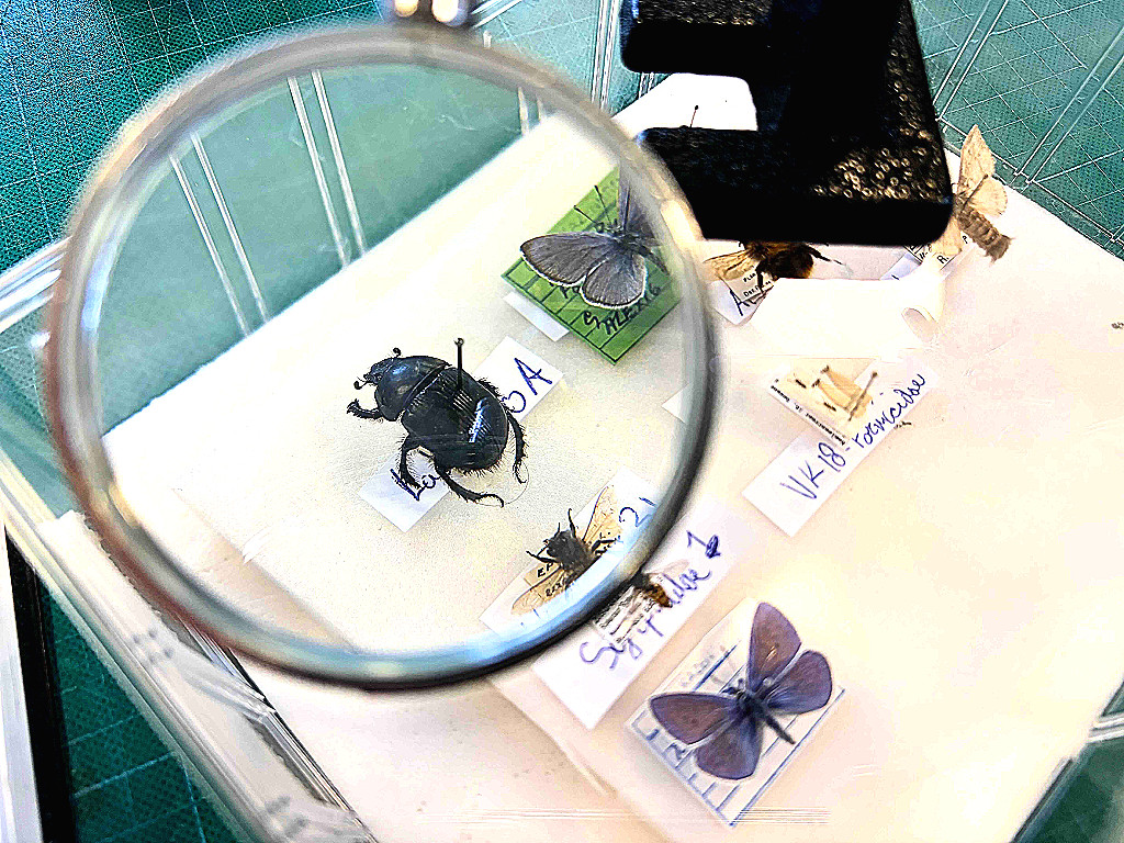 Selection Natuur Historisch Museum Rotterdam MVBaks web