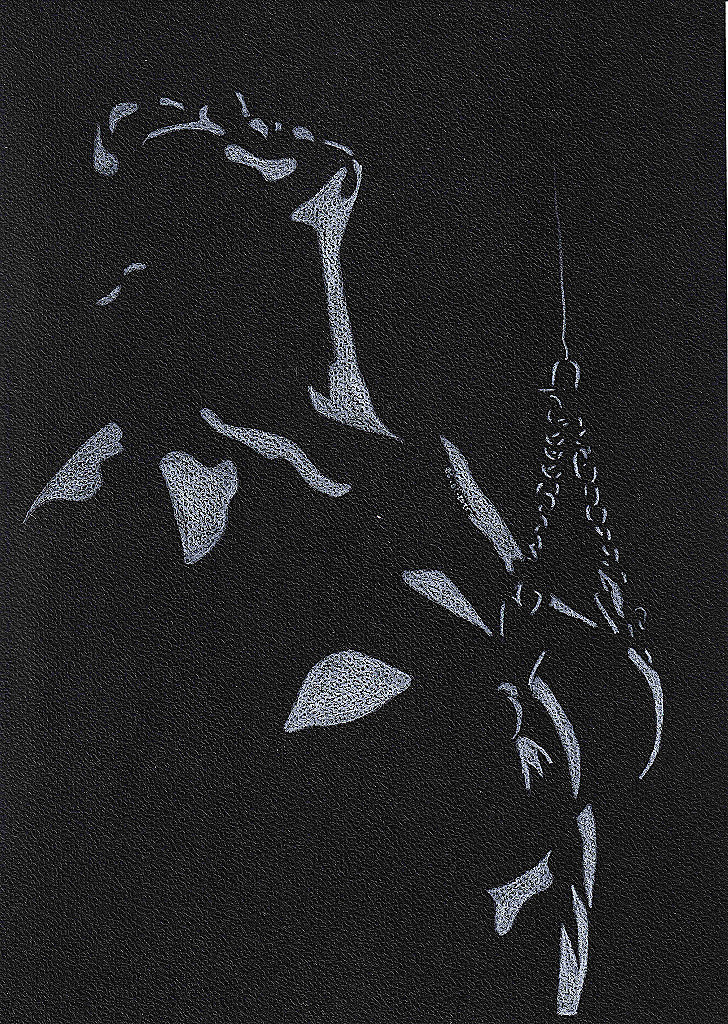 Shibari #1006