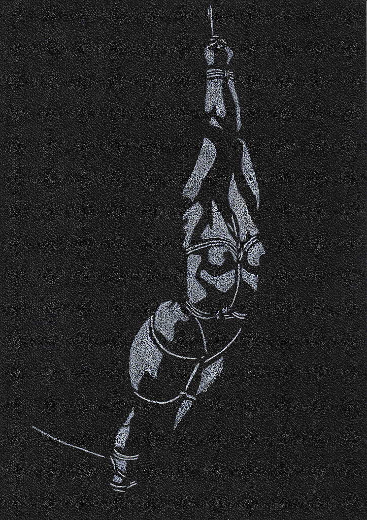 Shibari #1008