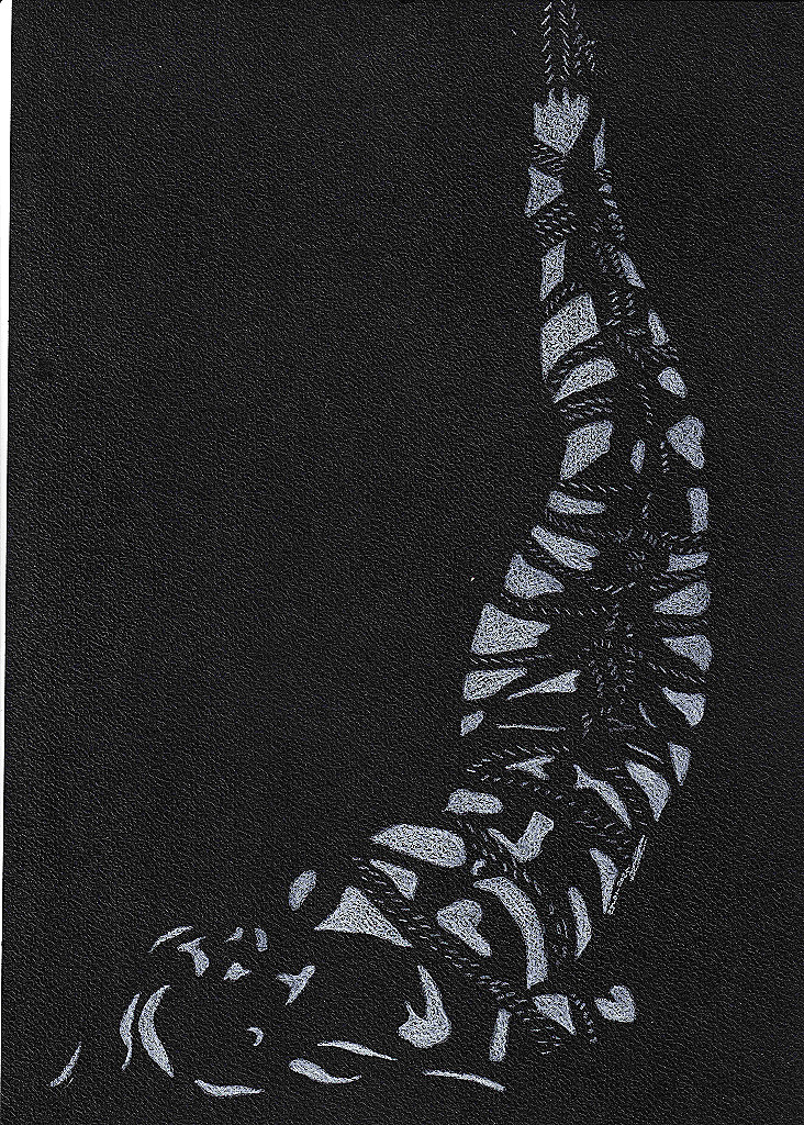 Shibari #1012