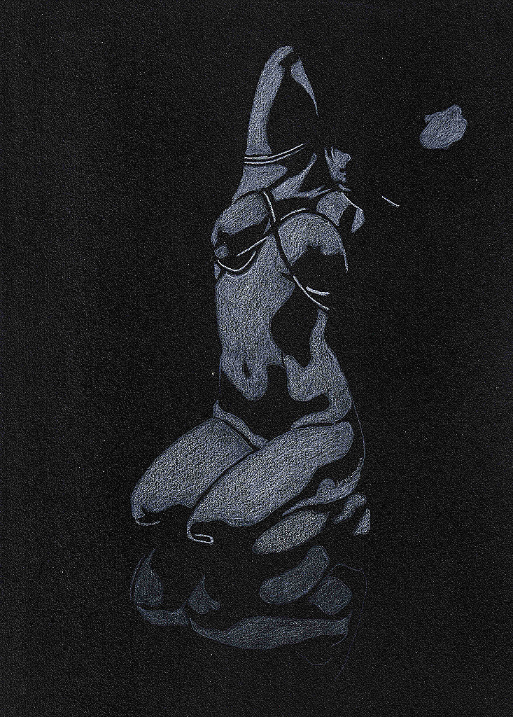 Shibari #1017