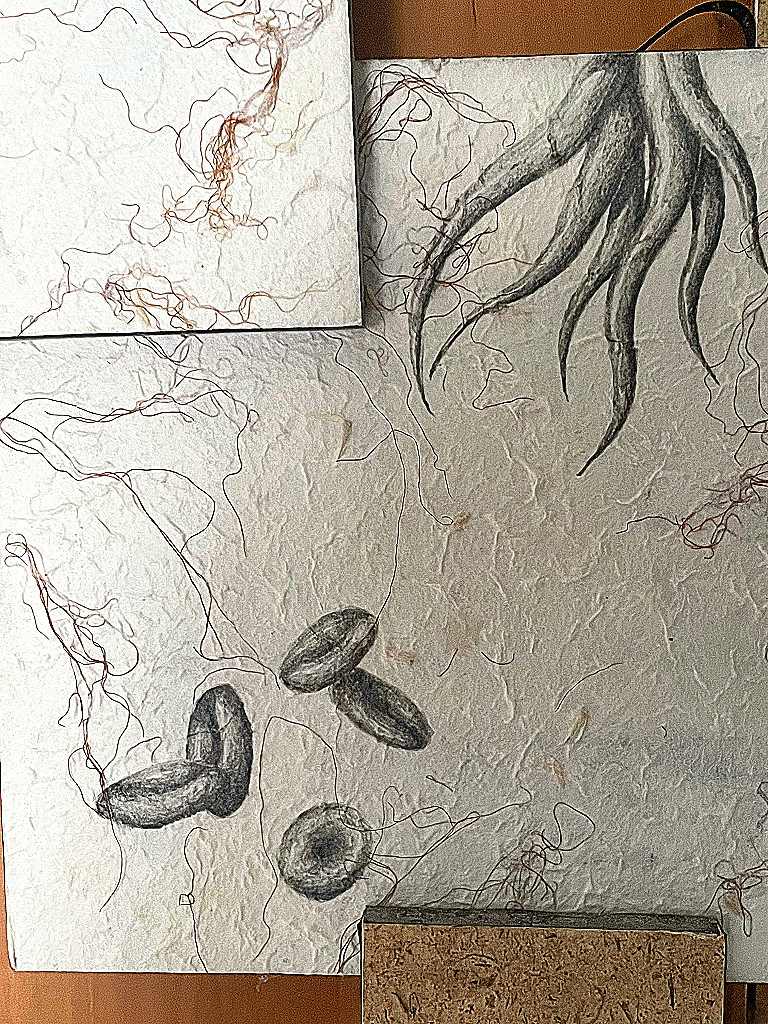 Genesis detail 2