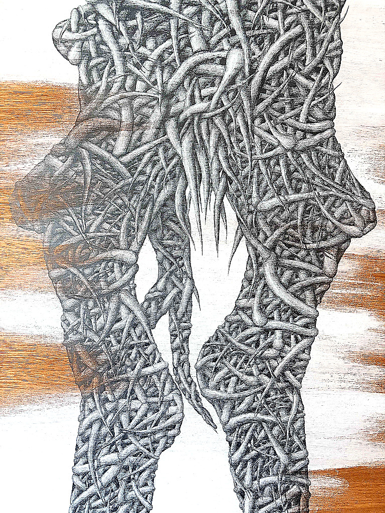 Misses Devana Panel 1 close up
