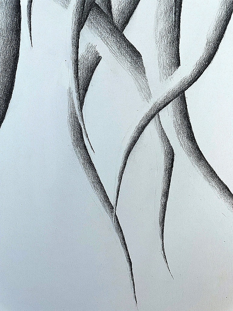Roots Detail Roots My Right Brain Half