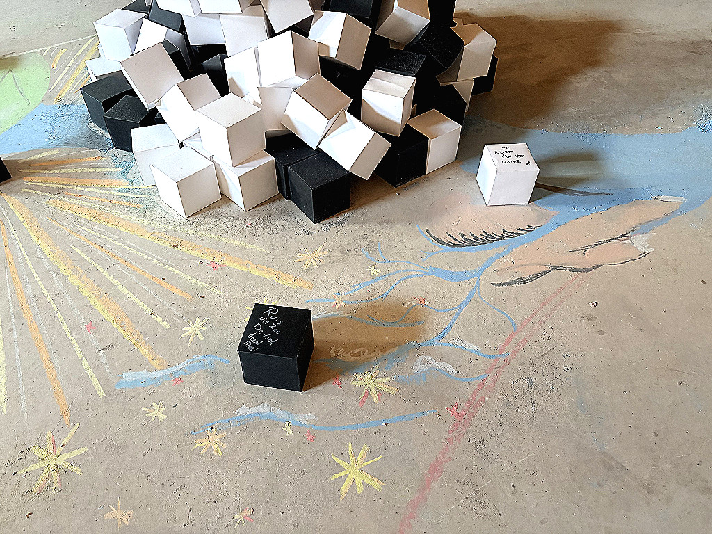 mvbaks cubes day1 first visitors