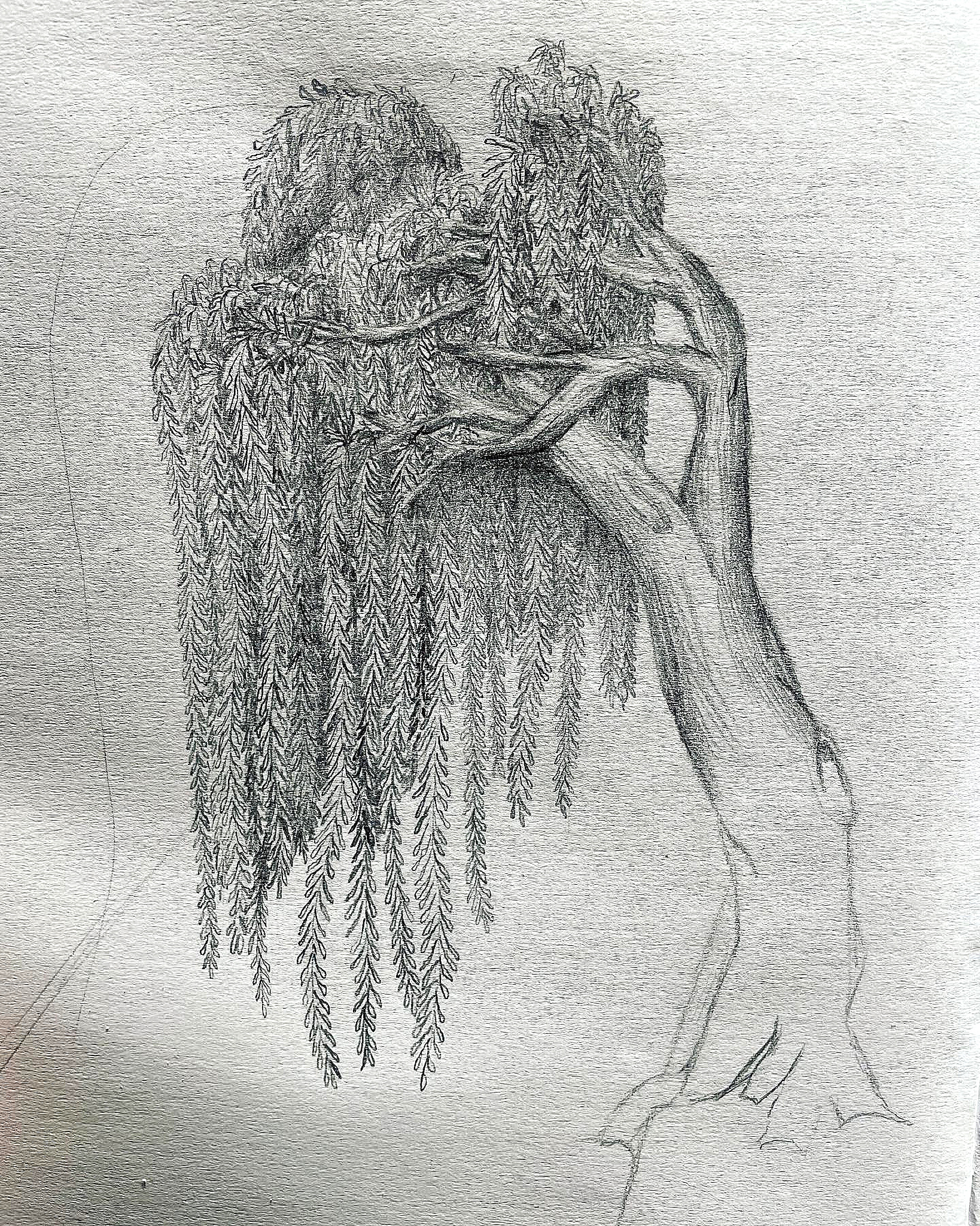 E5579C06 F841 431B AE10 DB8568993698 3