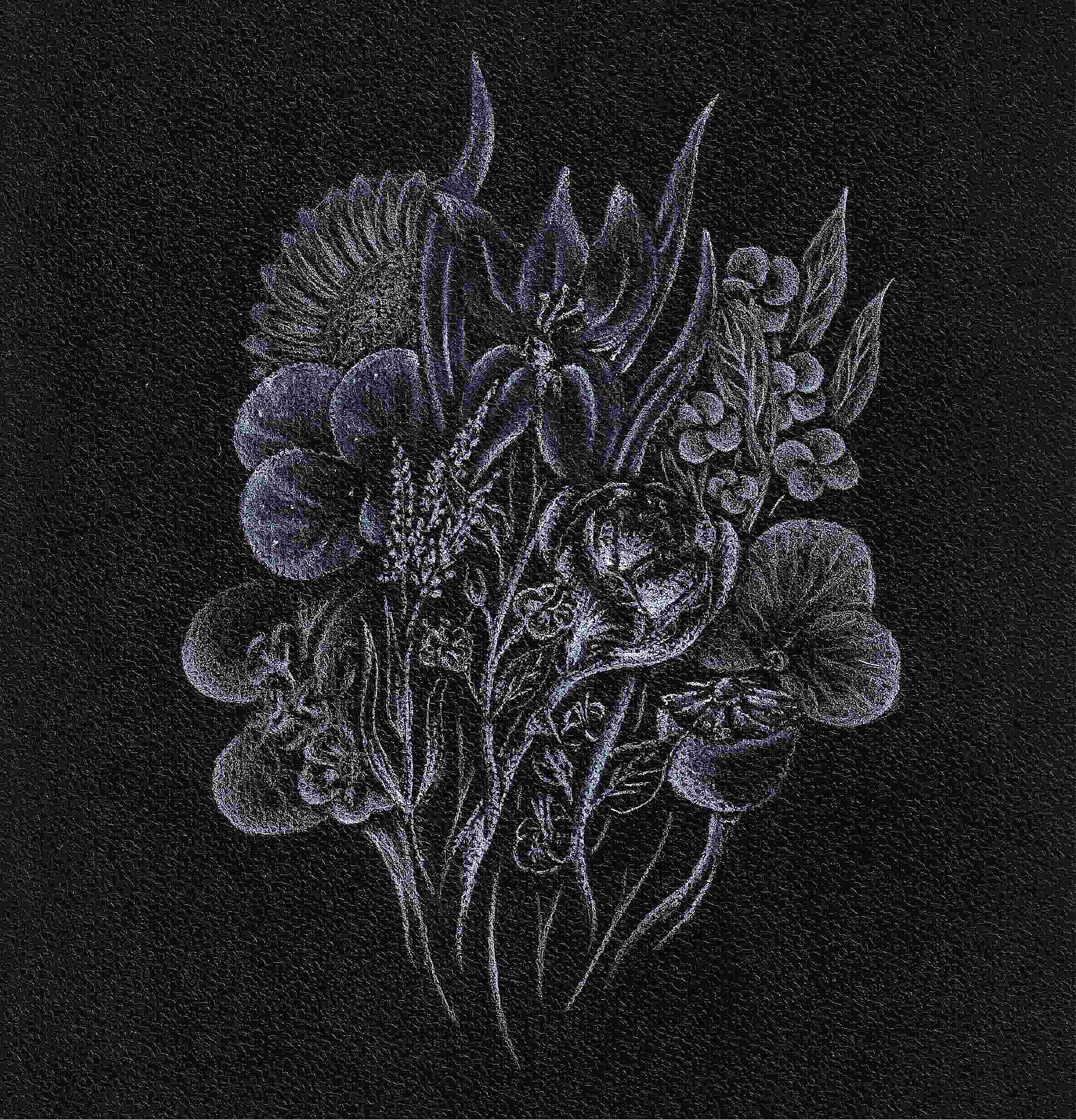 Live Lines Online #12-13