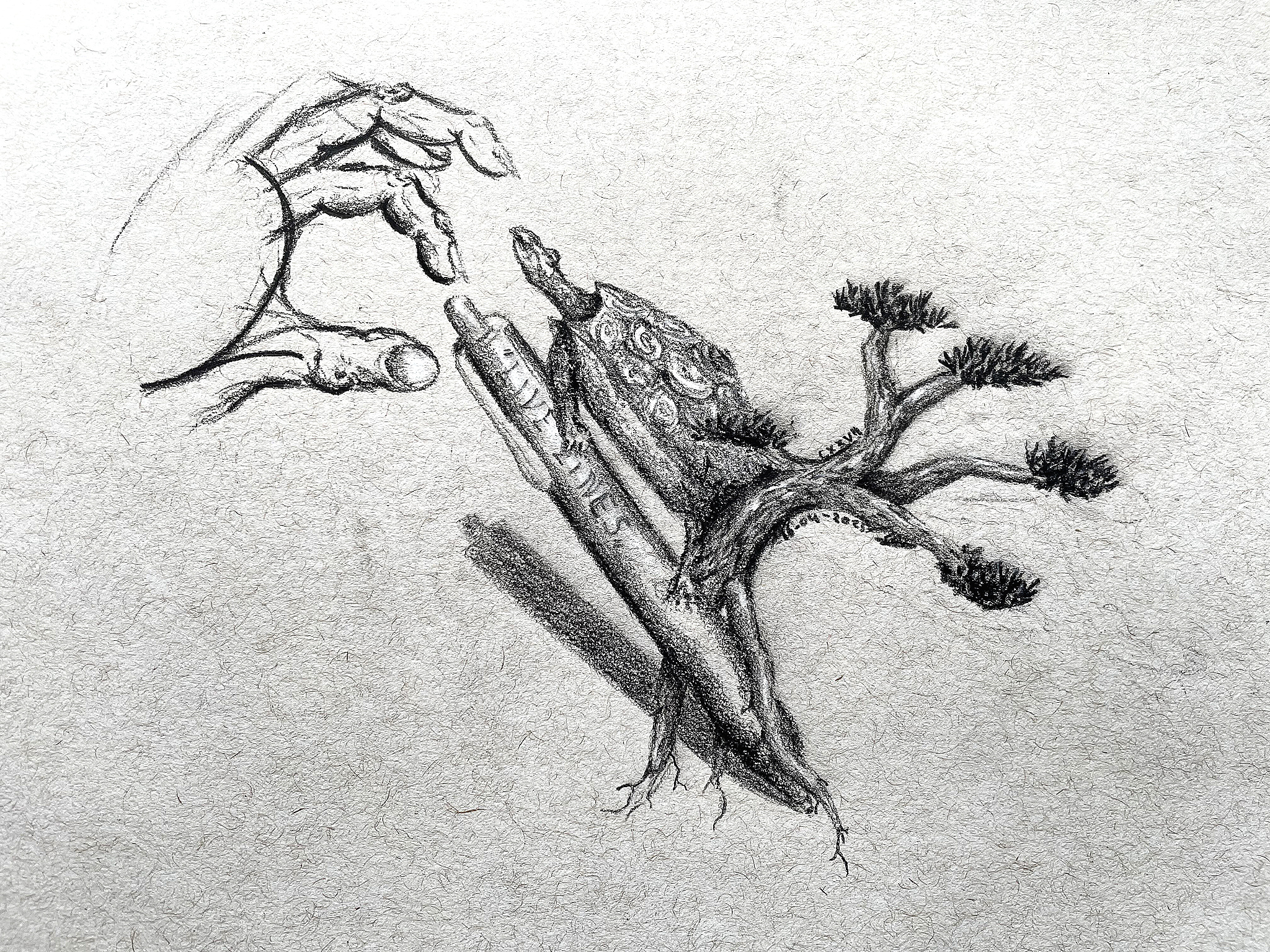 Live Lines Online #2