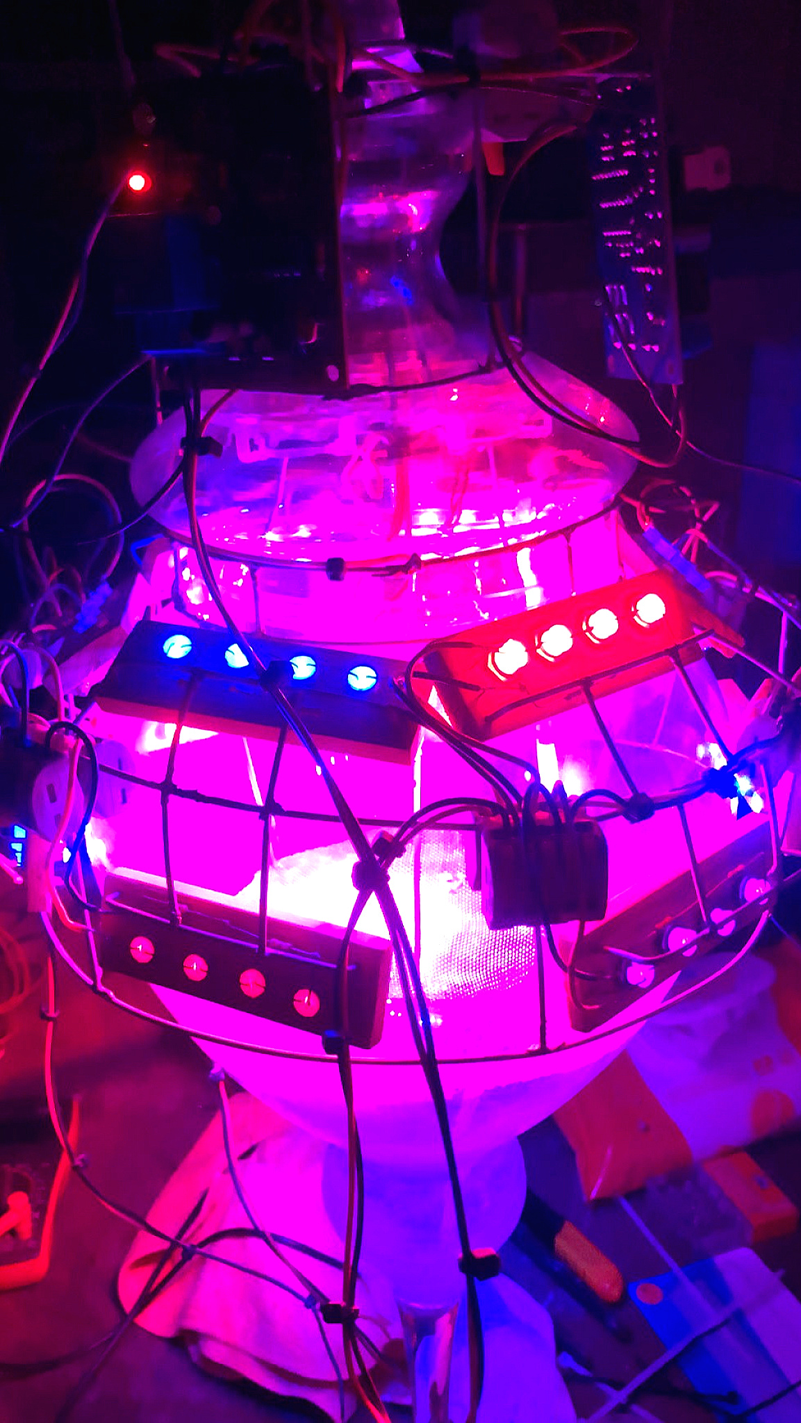 The third generation of the dome gardens MVBaks