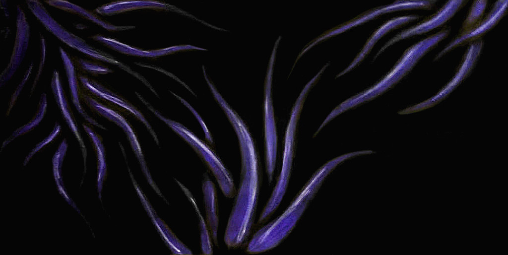 purple color II MVBaks